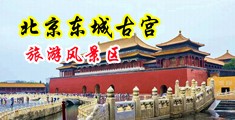 播放国语操逼录像中国北京-东城古宫旅游风景区